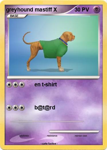 Pokemon greyhound mastiff X