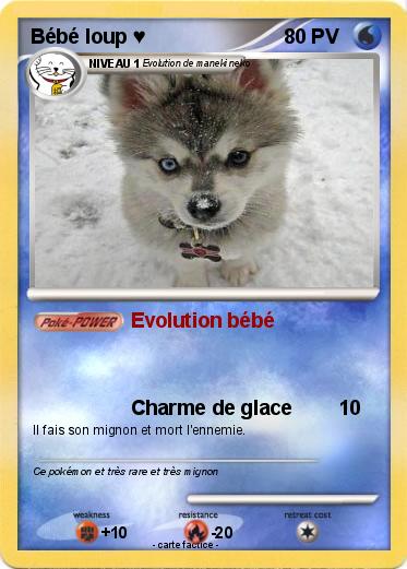 Pokemon Bébé loup ♥