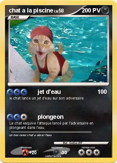 Pokemon chat a la piscine