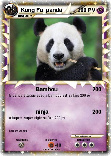 Pokemon Kung Fu  panda
