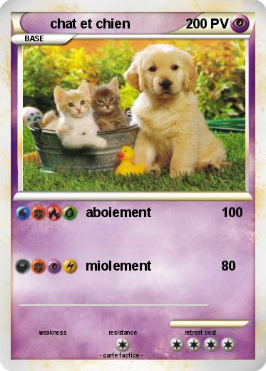 Pokemon chat et chien