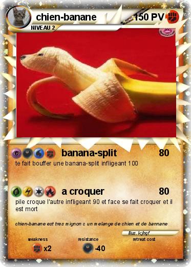 Pokemon chien-banane