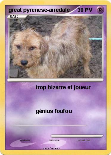 Pokemon great pyrenese-airedale
