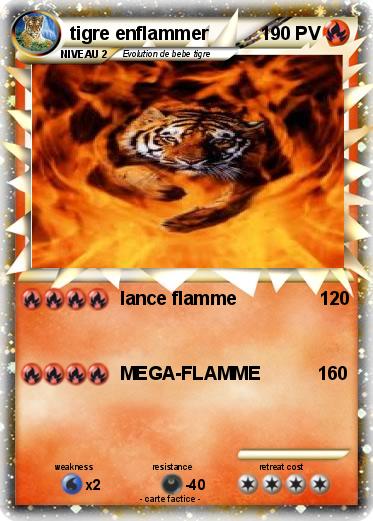 Pokemon tigre enflammer