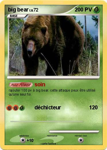 Pokemon big bear
