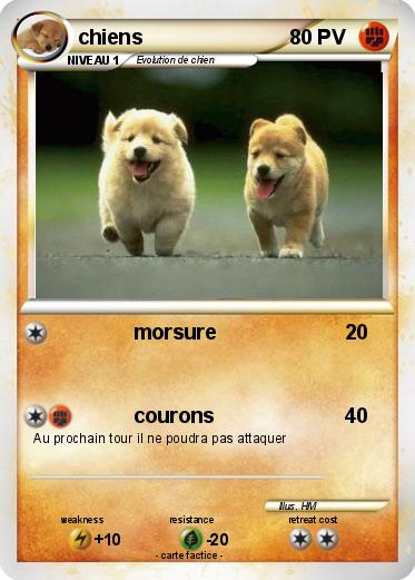Pokemon chiens