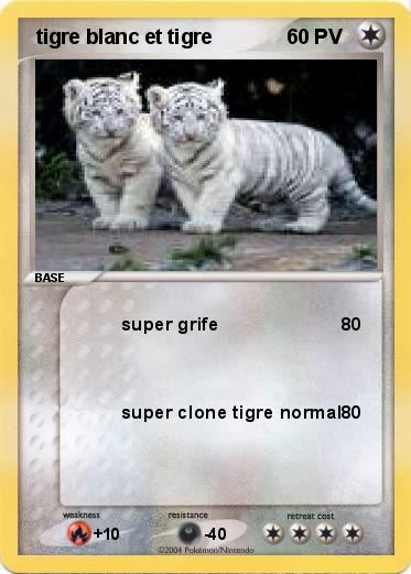 Pokemon  tigre blanc et tigre