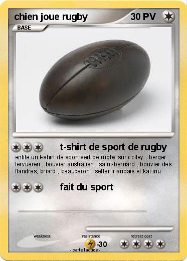 Pokemon chien joue rugby