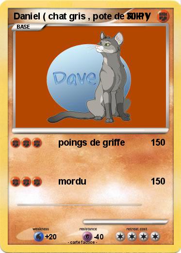 Pokemon Daniel ( chat gris , pote de Riki )