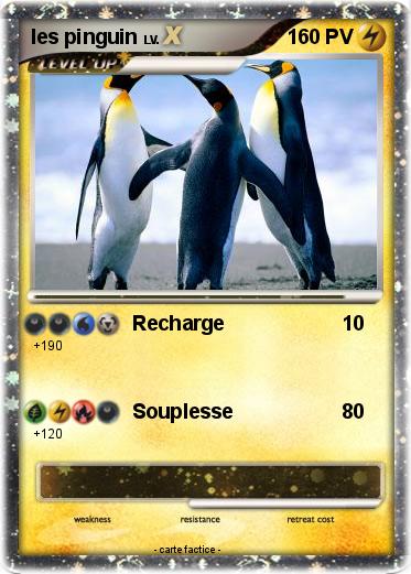 Pokemon les pinguin