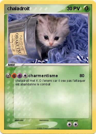 Pokemon chaladroit
