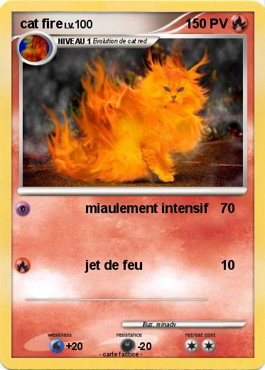 Pokemon cat fire