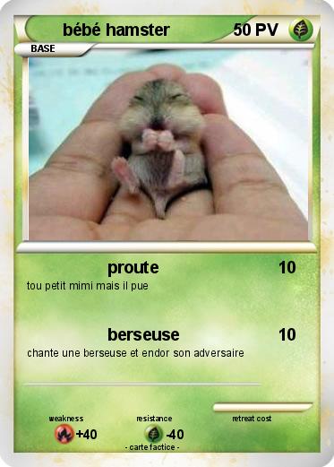 Pokemon bébé hamster