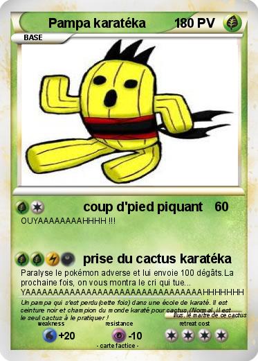 Pokemon Pampa karatéka        1