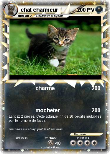 Pokemon chat charmeur