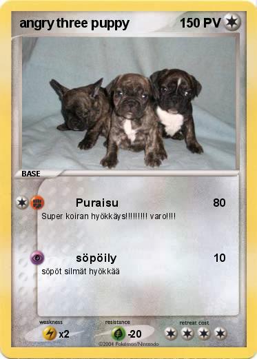 Pokemon angry three puppy