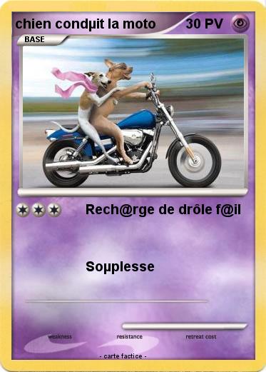 Pokemon chien condµit la moto