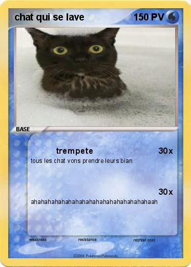 Pokemon chat qui se lave