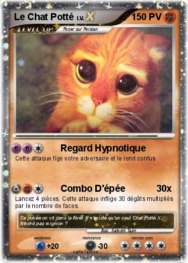 Pokemon Le Chat Potté
