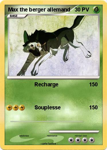 Pokemon Max the berger allemand