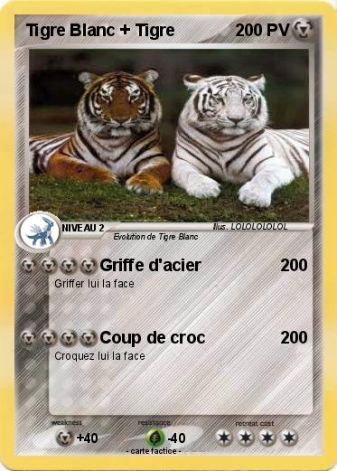 Pokemon Tigre Blanc + Tigre