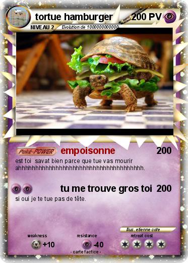 Pokemon tortue hamburger