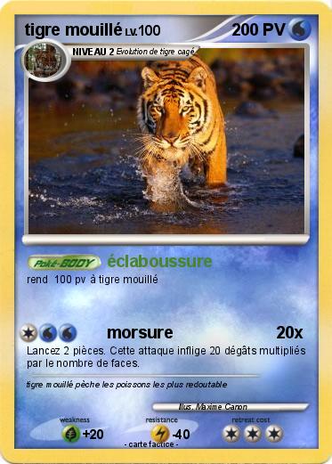 Pokemon tigre mouillé