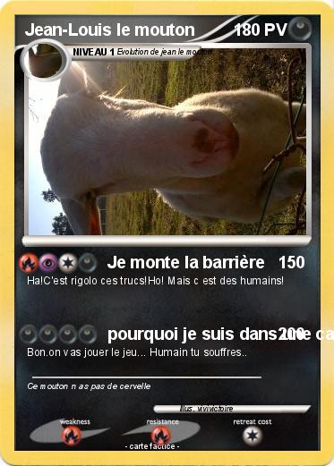 Pokemon Jean-Louis le mouton