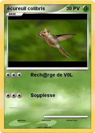 Pokemon écureuil colibris