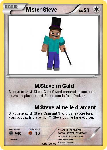Pokemon Mister Steve