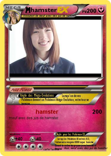 Pokemon hamster