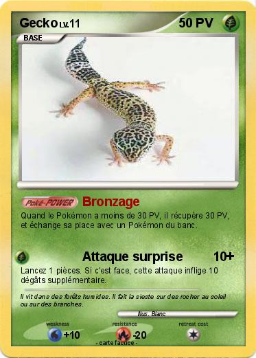 Pokemon Gecko