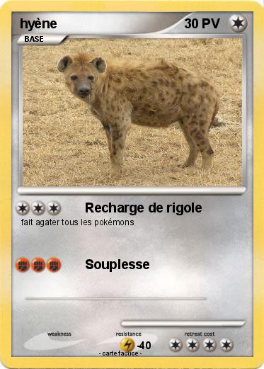 Pokemon hyène