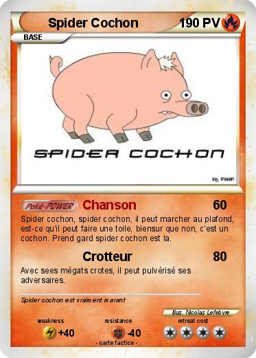 Pokemon Spider Cochon