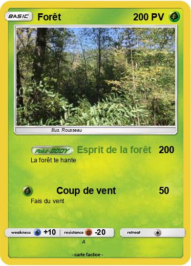 Pokemon Forêt