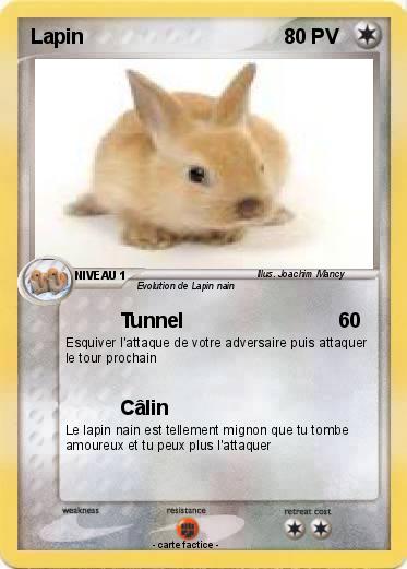 Pokemon Lapin