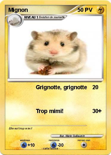 Pokemon Mignon