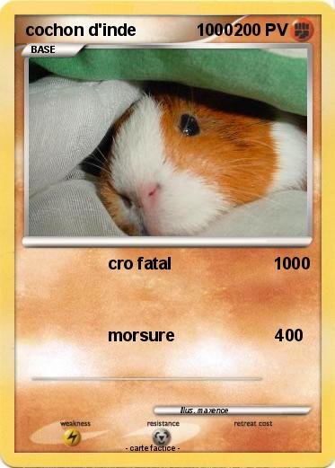 Pokemon cochon d'inde             1000