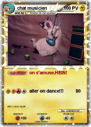 Pokemon chat musicien