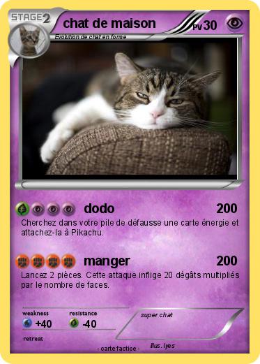 Pokemon chat de maison