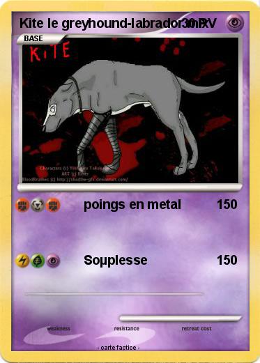 Pokemon Kite le greyhound-labrador mix