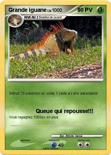 Pokemon Grande iguane