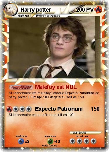 Pokemon Harry potter