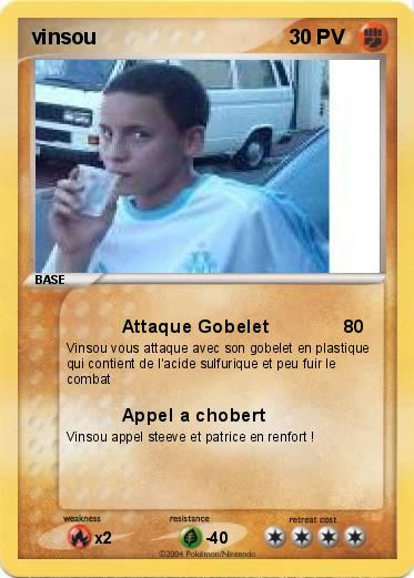 Pokemon vinsou
