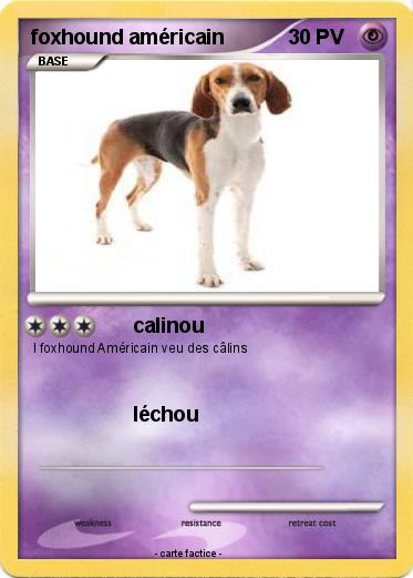Pokemon foxhound américain