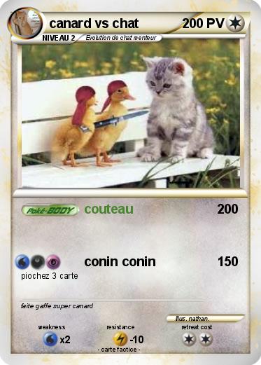 Pokemon canard vs chat