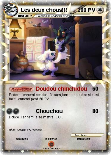 chat villenave dornon