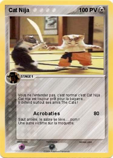 Pokemon Cat Nija