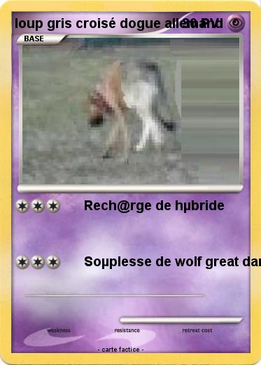 Pokemon loup gris croisé dogue allemand