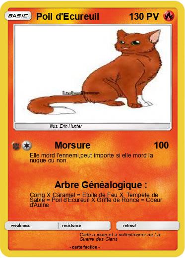 Pokemon Poil d'Ecureuil